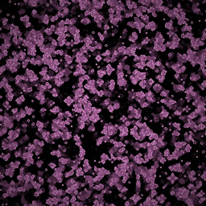 Cellular Emergence — F.R.A.N.K. artwork